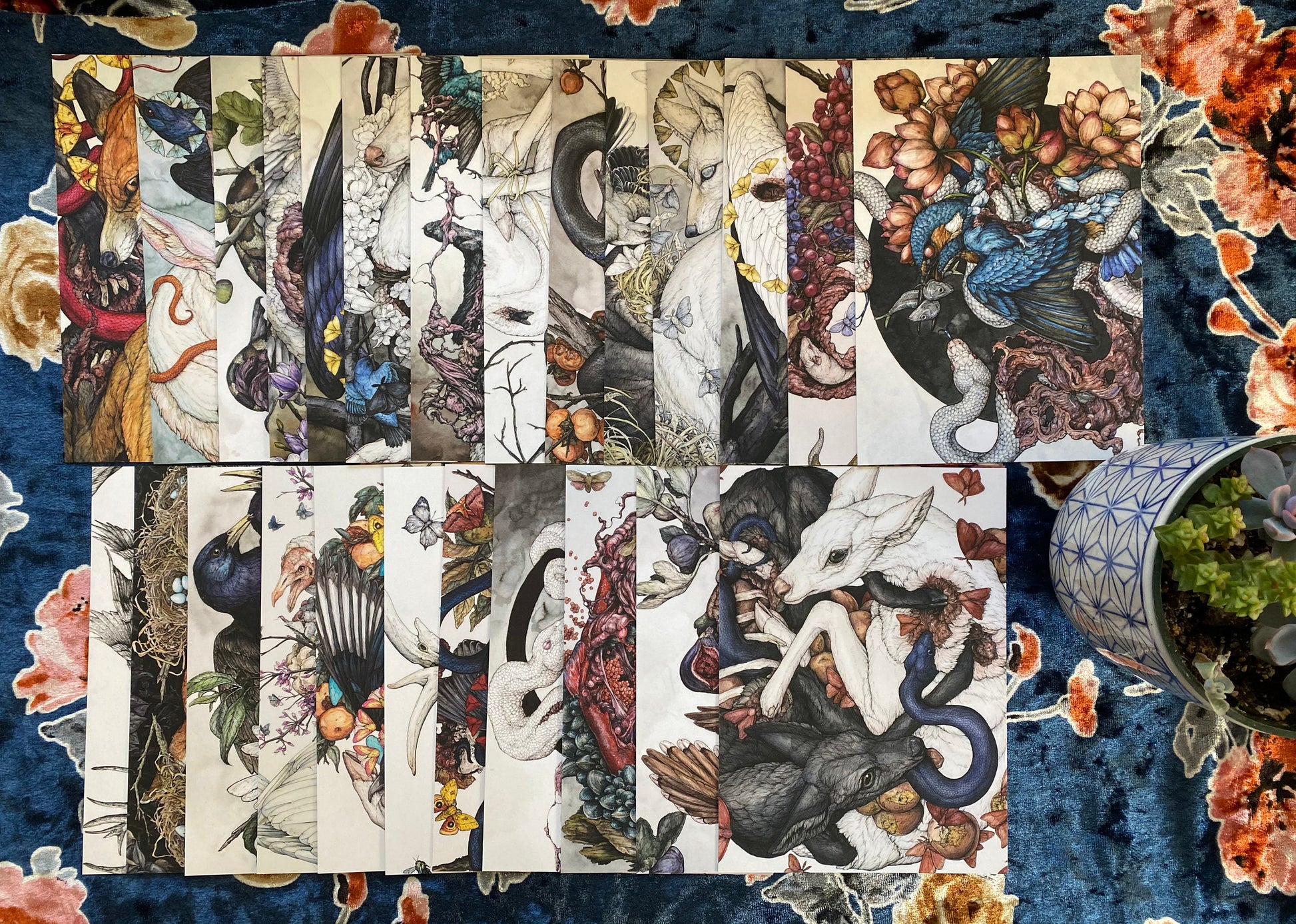 25 Piece Postcard Set: Version 1