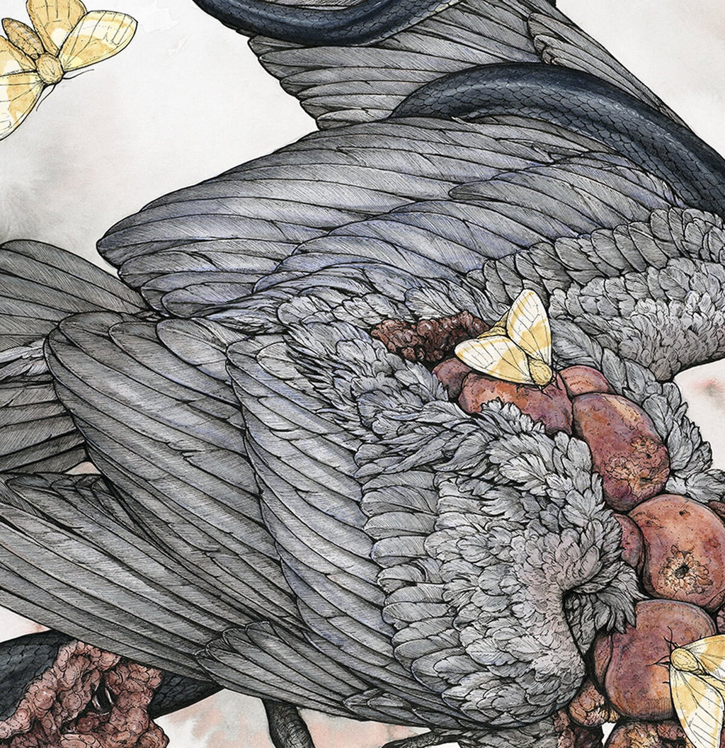 Peach Limited Edition Print