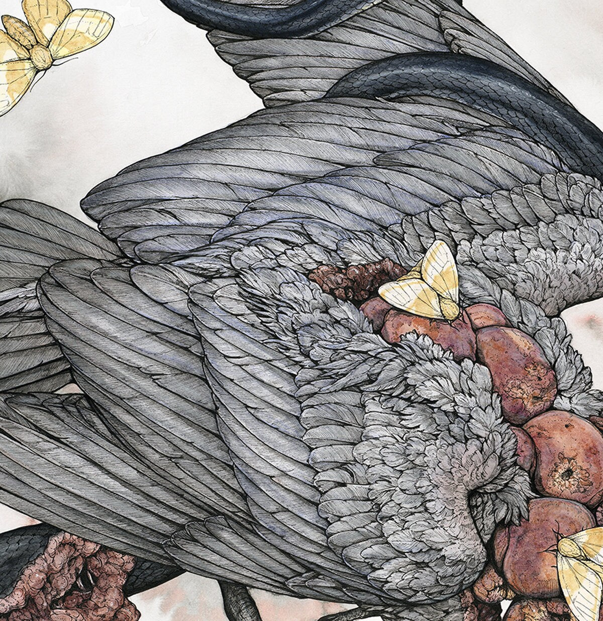 Peach Limited Edition Print