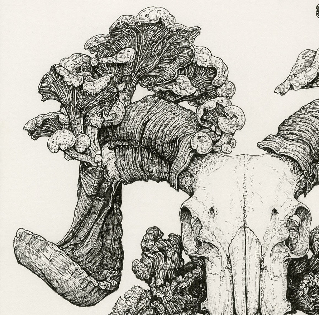 Epitaph Limited Edition Print