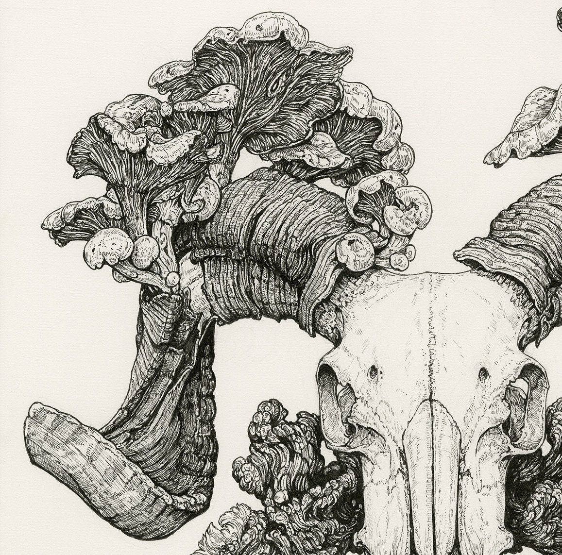 Epitaph Limited Edition Print
