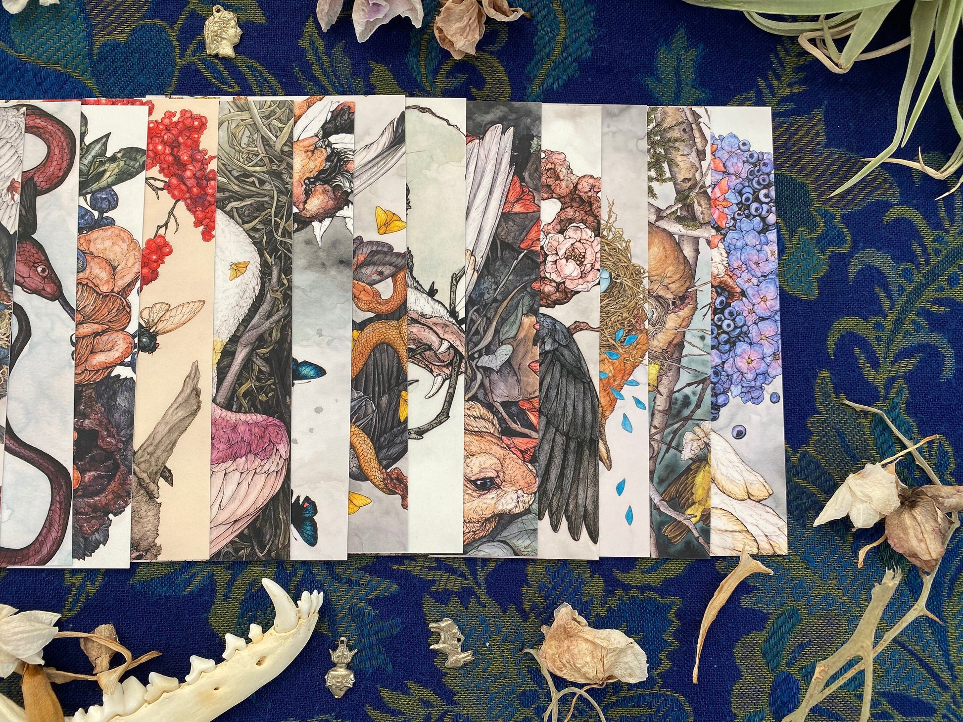 25 Piece Postcard Set: Version 2