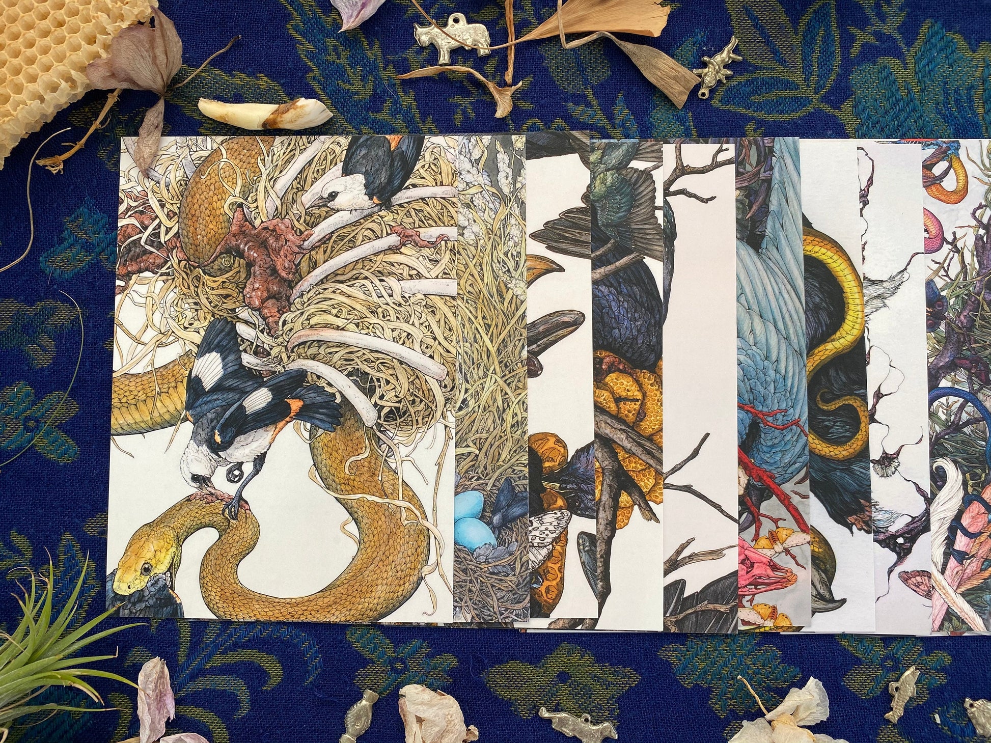 25 Piece Postcard Set: Version 2