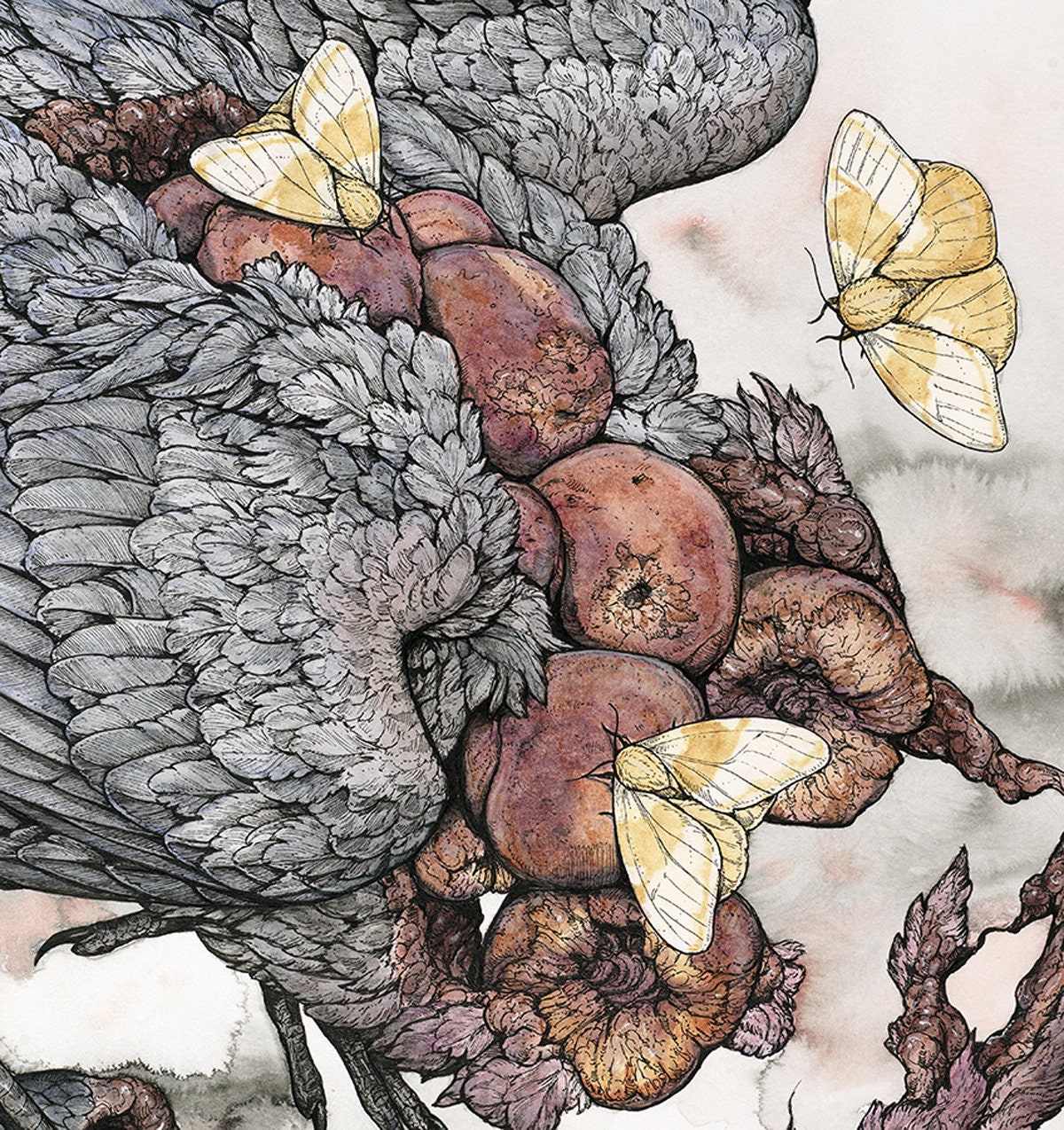 Peach Limited Edition Print