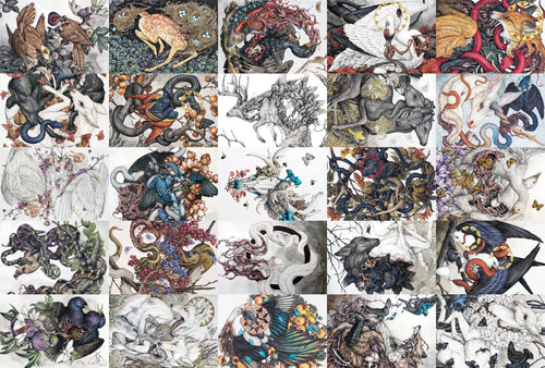 25 Piece Postcard Set: Version 1