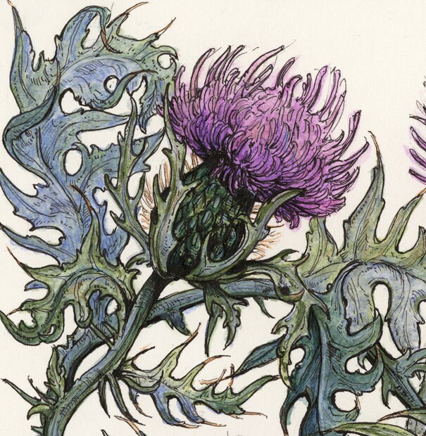 Bleat Limited Edition Print