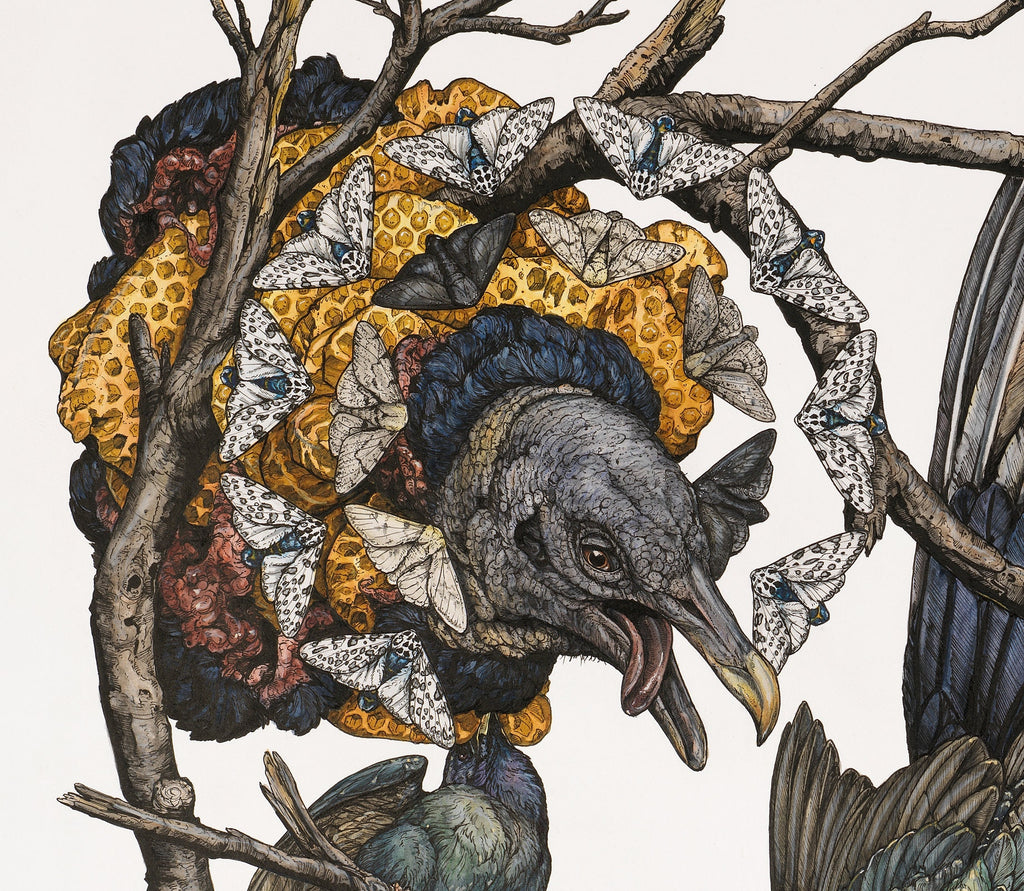 Honey Limited Edition Print