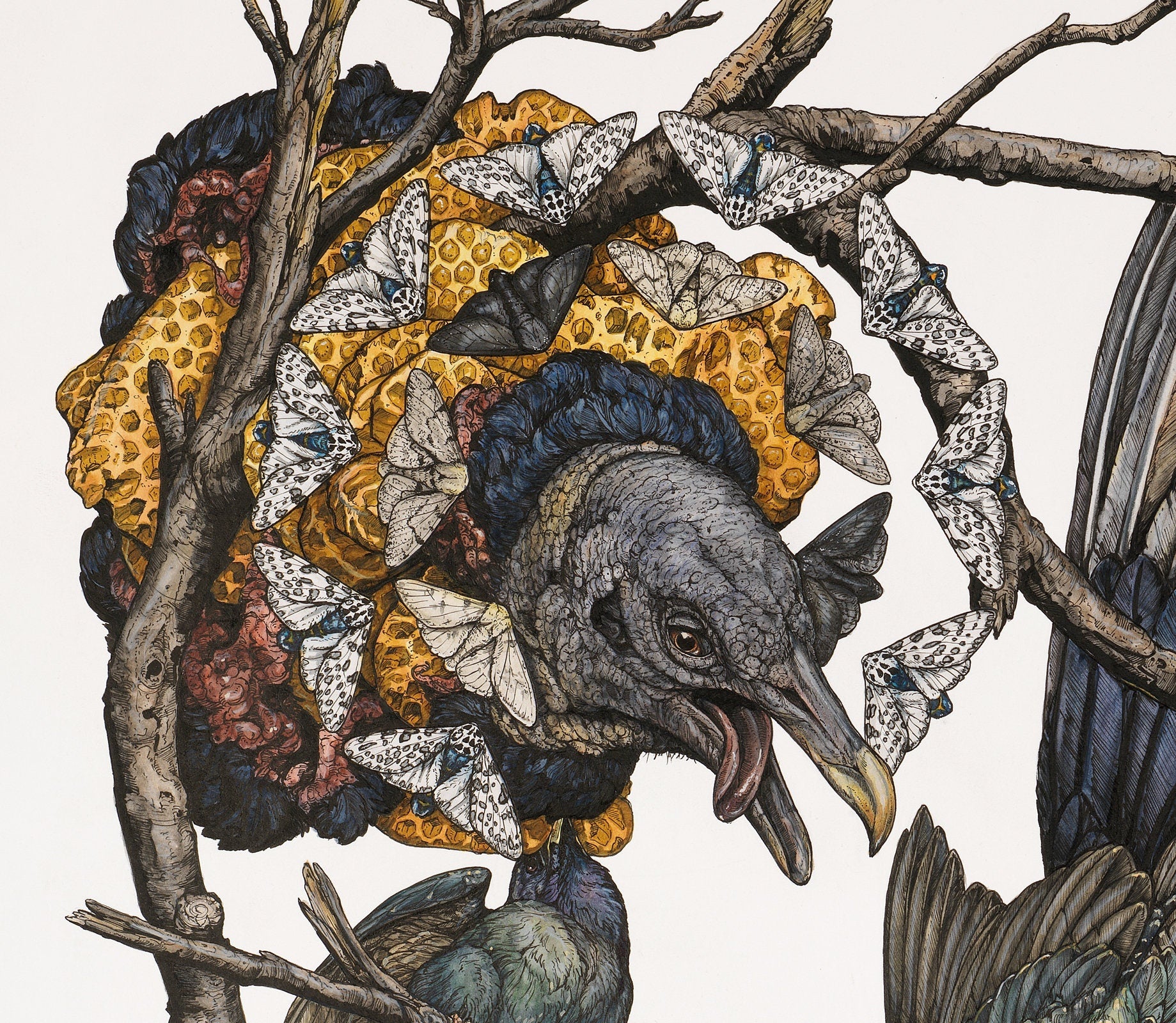 Honey Limited Edition Print