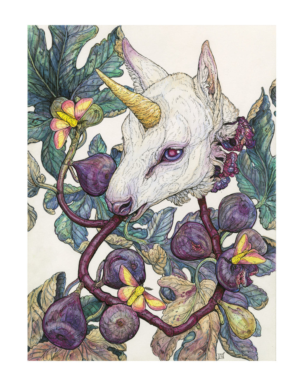 Baby Unicorn Sweets Limited Edition Print