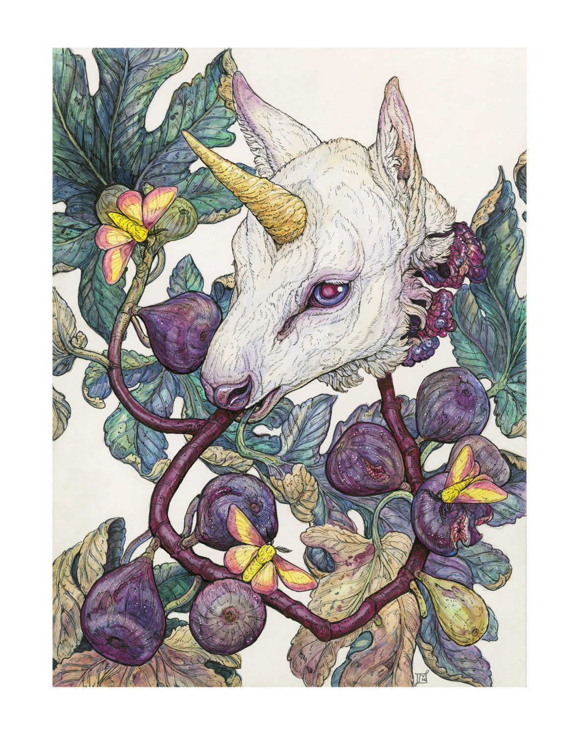 Baby Unicorn Sweets Limited Edition Print