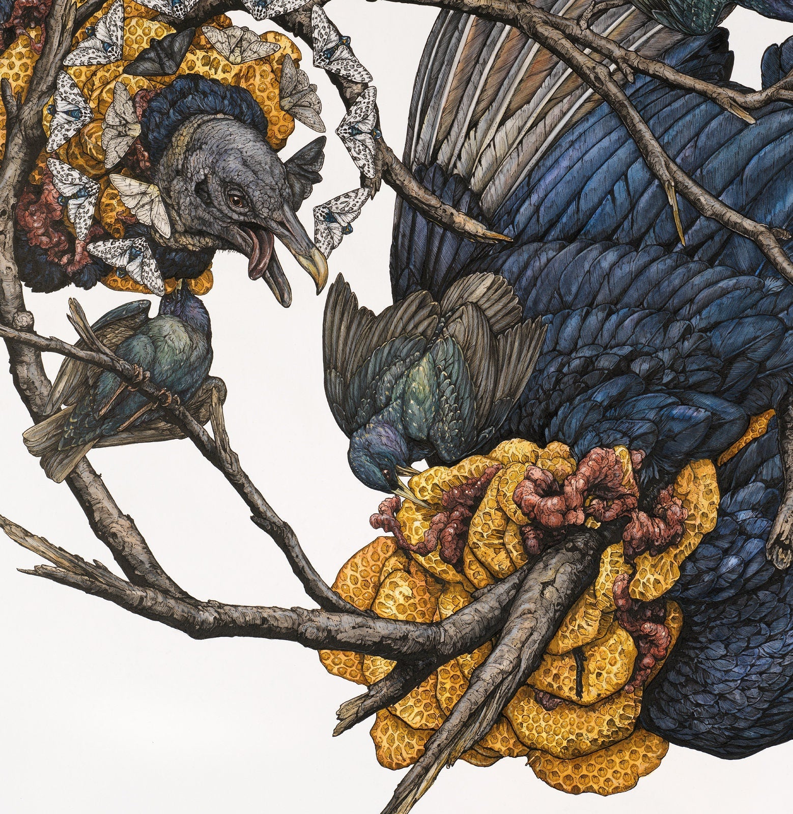 Honey Limited Edition Print