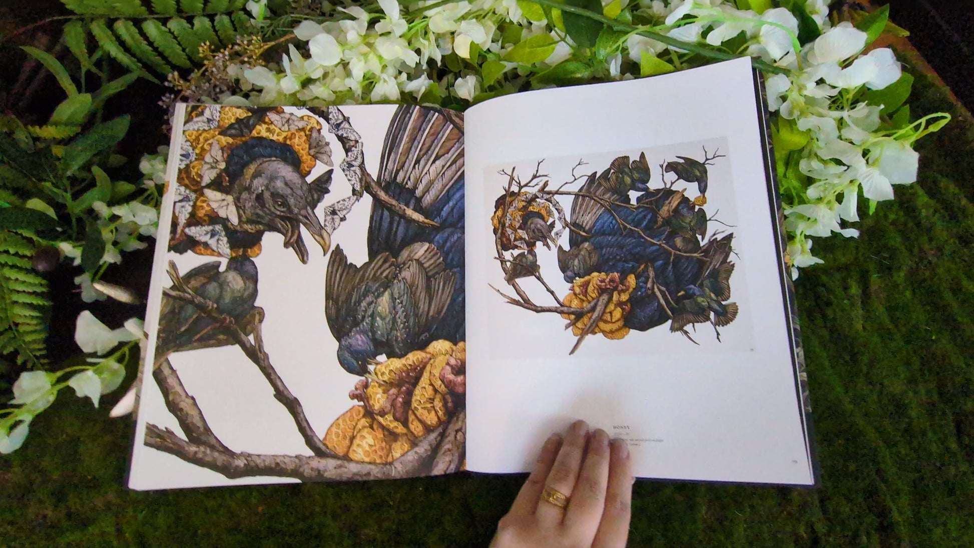 SIGNED Sacred Decay The Art of Lauren Marx Second Edition Book