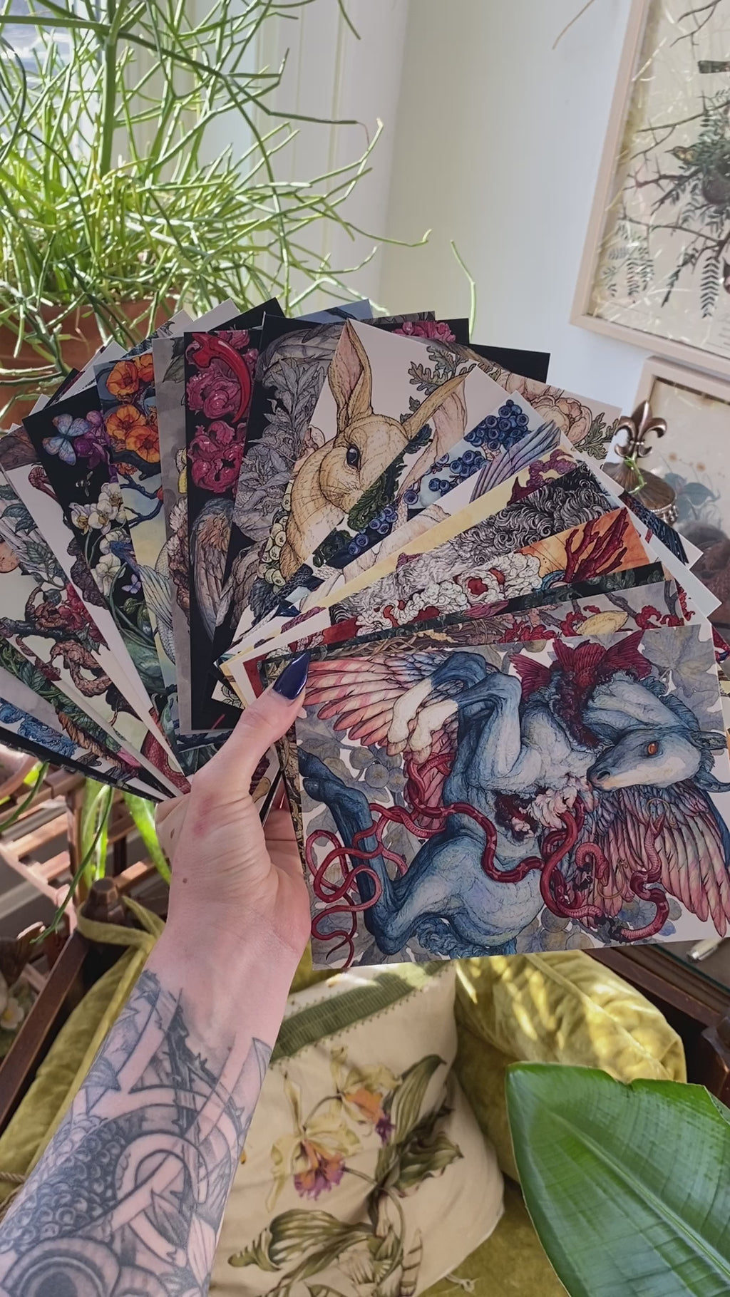10 Piece Mystery Postcard Pack