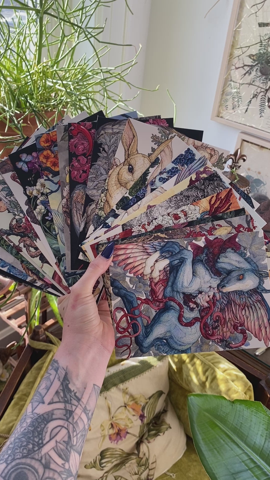 10 Piece Mystery Postcard Pack